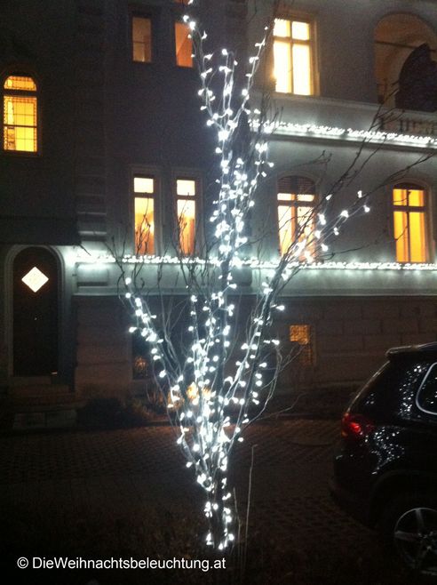 LED Weihnachtsbeleuchtung Austin | BFP Graz