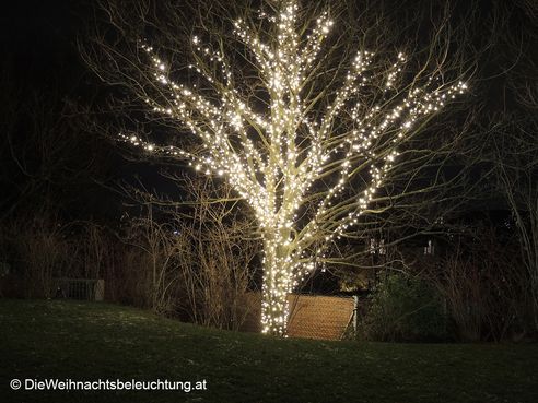 LED Weihnachtsbeleuchtung Baum